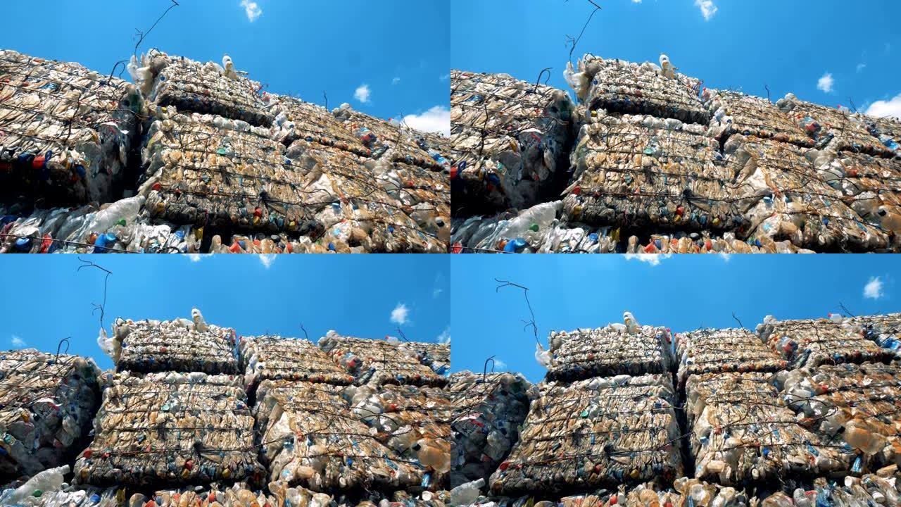 垃圾填埋场的垃圾。许多垃圾堆在垃圾场上，准备回收。