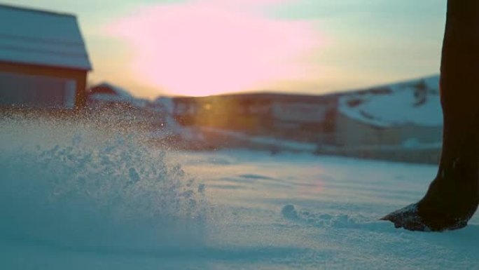 慢动作: 在雾蒙蒙的冬季日出时，棕色的马穿过深雪。