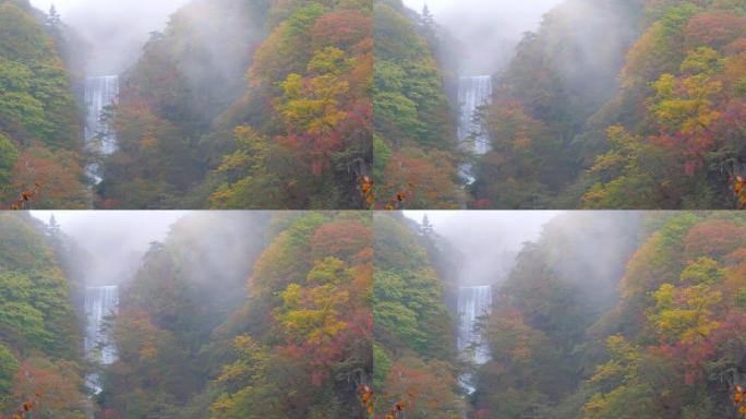 日本秋天的森林瀑布变色，慢动作