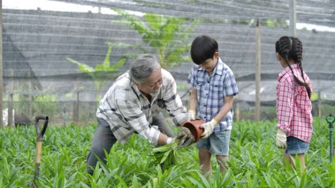 孙子带着祖父在他的花园里种了一棵新树，孩子拿着植物，爷爷拿着铁锹。