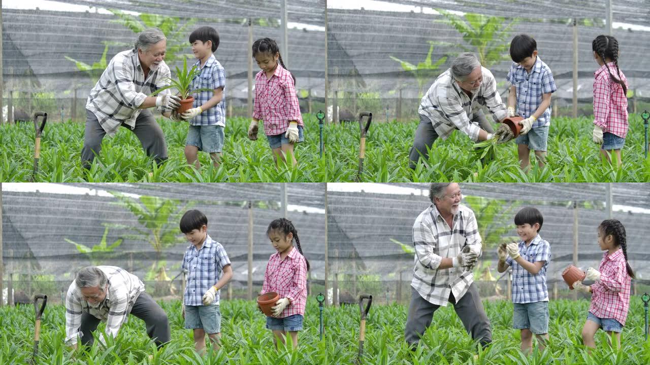 孙子带着祖父在他的花园里种了一棵新树，孩子拿着植物，爷爷拿着铁锹。