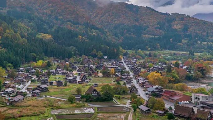 日本岐阜秋季季白川子村多莉拍摄的4k延时镜头。