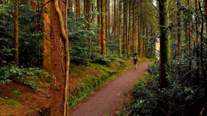 男子在森林4k的一条小路上慢跑