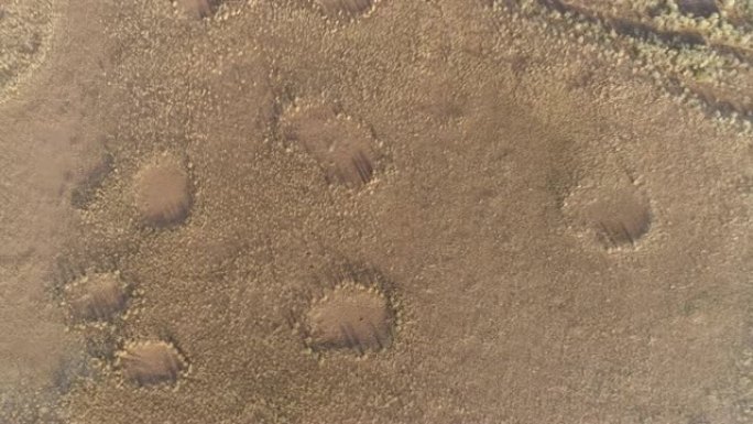 纳米比亚纳米布沙漠著名仙女圈的4k圆形放大鸟瞰图，框架内有一辆旅游车