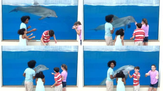 水族馆中的四个孩子在水下观看海豚