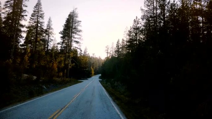 在美丽的日落森林路上行驶的汽车的惊人视点，阳光普照在约塞米蒂慢动作的松树之间。