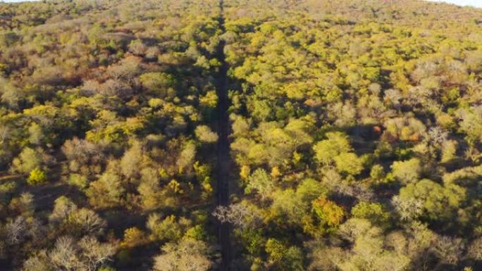 标志着津巴布韦Gonarezhou国家公园边界的游戏围栏的空中树俯视图