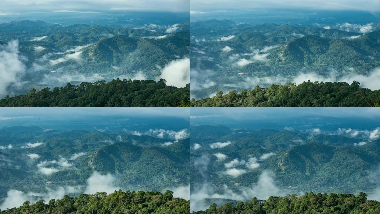 在山上有薄雾的热带雨林树木中，时间流逝
