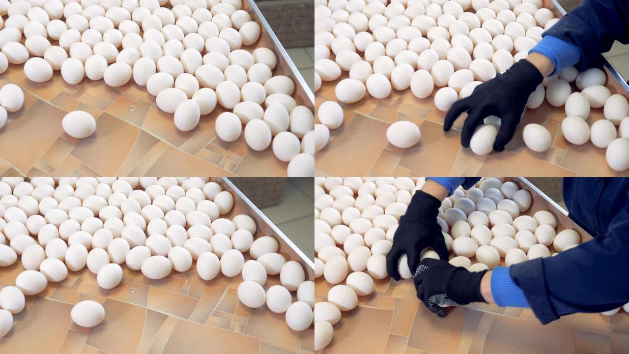 许多鸡蛋在一个农场被分类，俯视图。