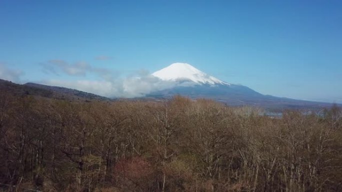 富士山的鸟瞰图高山大山山林树林