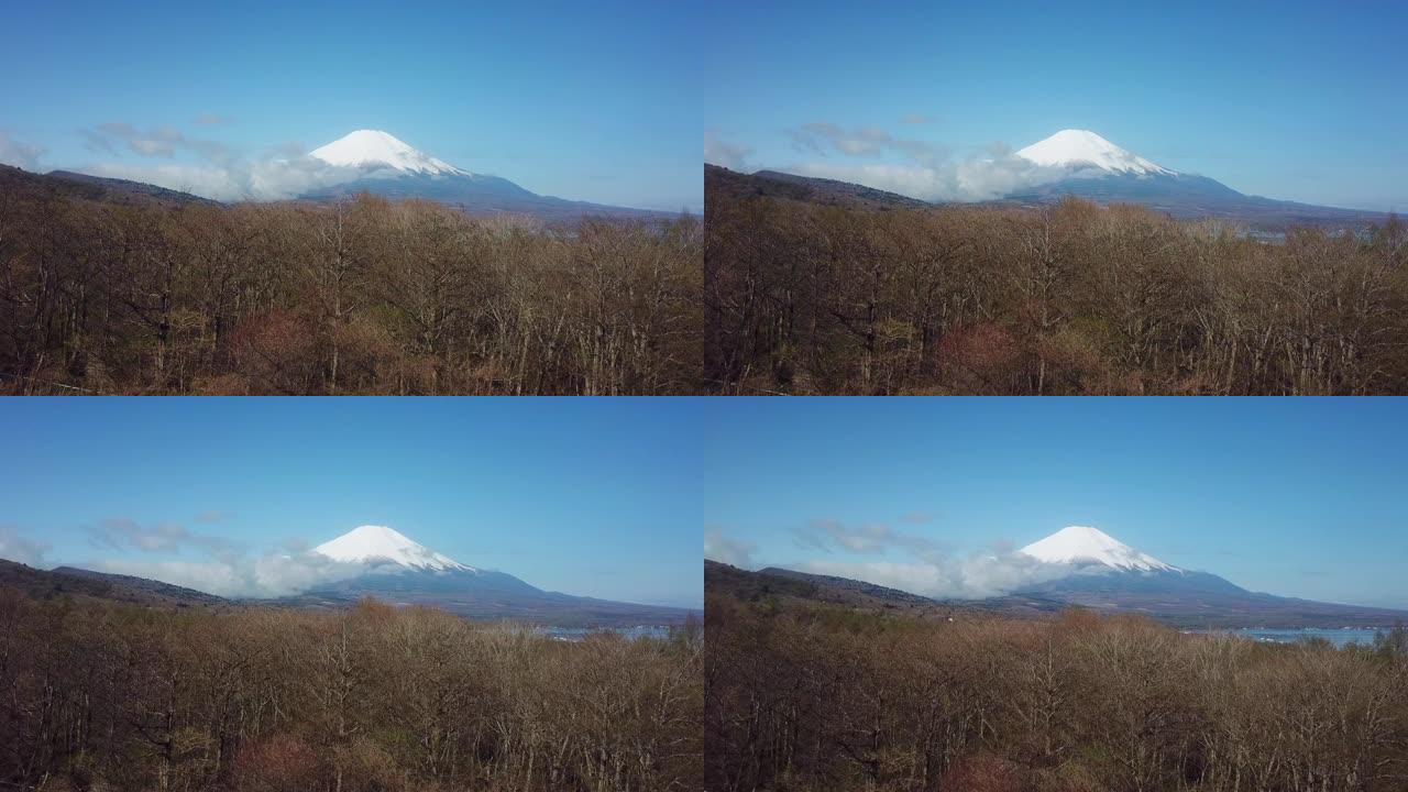 富士山的鸟瞰图高山大山山林树林