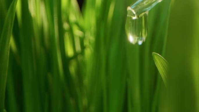 草和植物的极端宏观和pov，对农药和除草剂进行化学分析，或对植物和细胞繁殖的福利进行实验。