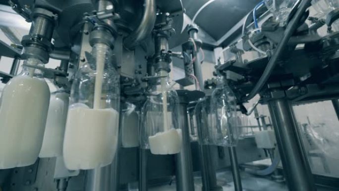 机械输送机正在用巴氏杀菌牛奶填充瓶子。装瓶厂设备。