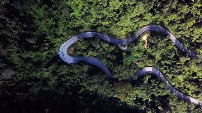 鸟瞰图，山上的道路和绿色的森林