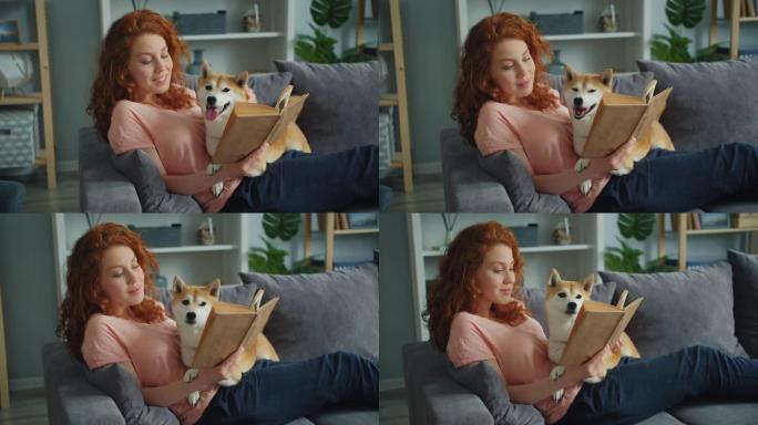 快乐的年轻女子喜欢看书，抚摸坐在公寓沙发上的可爱的小狗