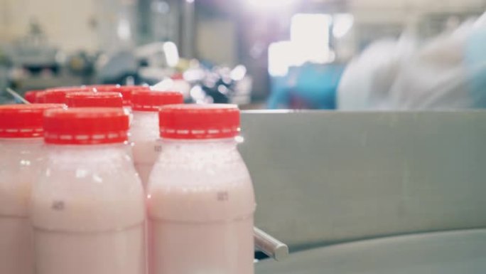 工厂工人正在从运输机中取出酸奶瓶