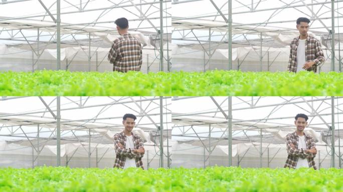 开朗的年轻迷人的亚洲小伙子农民早上从温室花园的水培蔬菜农场收获绿色橡树。
