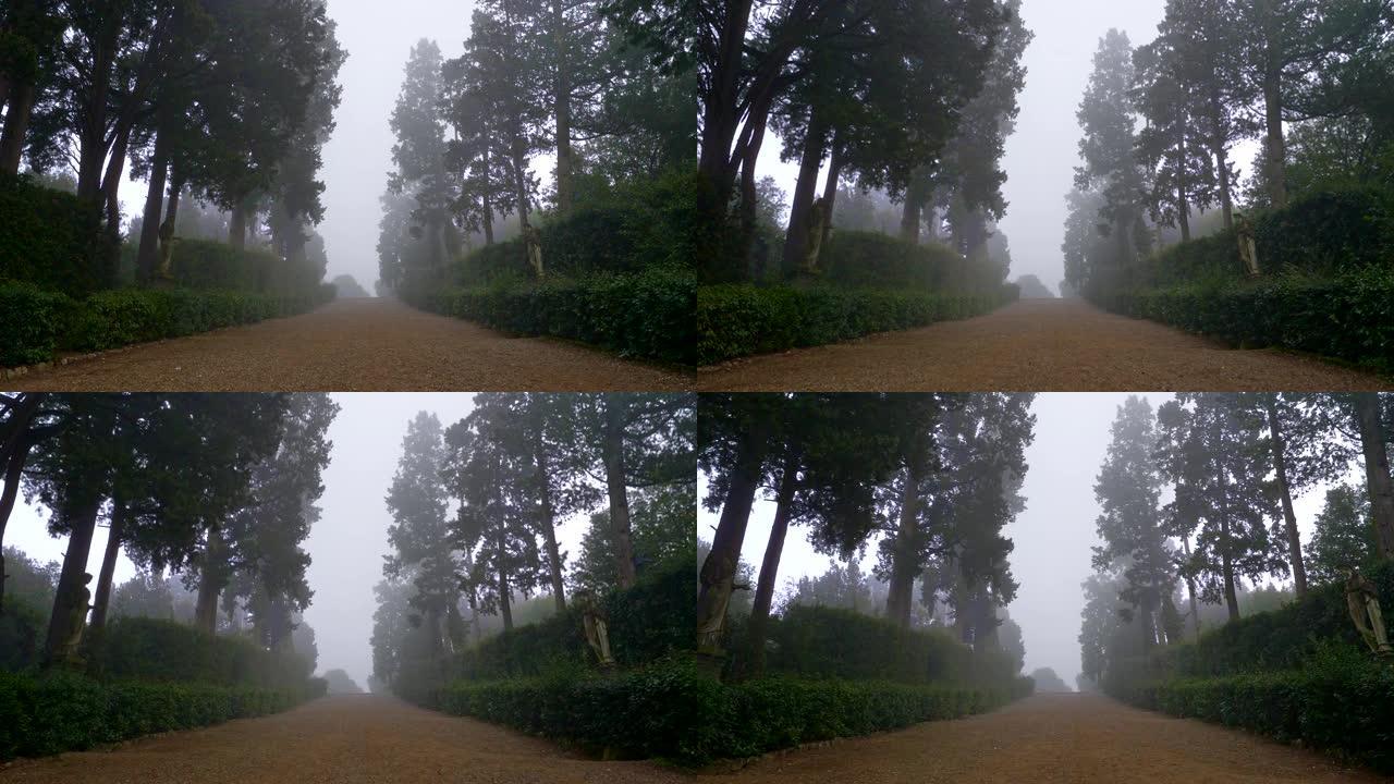摄像机沿着波波里花园的迷雾巷移动。意大利佛罗伦萨