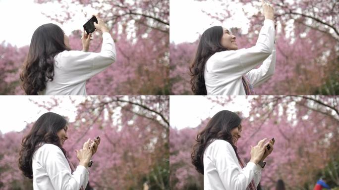 日本亚洲女性在智能手机上拍摄樱花
