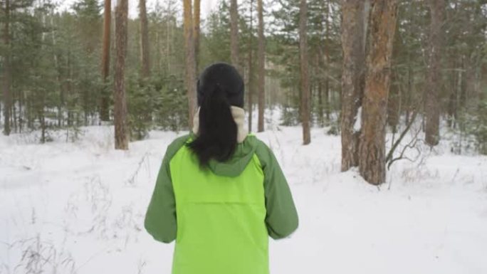 冬天在森林里慢跑的女人的后视图