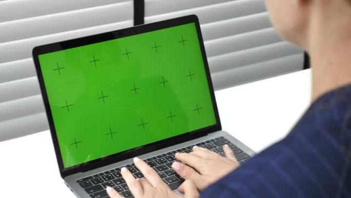女商人在办公室使用笔记本电脑绿屏