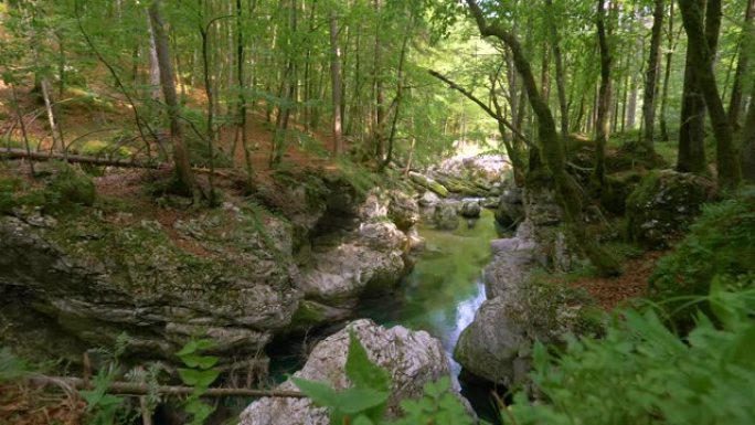 特写，dop: 华丽的河流流经斯洛文尼亚的宁静森林