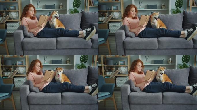 迷人的女孩看书，在公寓的沙发上抚摸柴犬小狗
