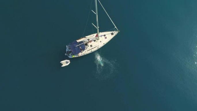MS慢动作鸟瞰图男子从帆船上跳入阳光明媚的蓝色海洋
