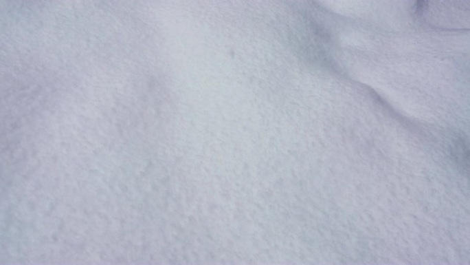 雪景下雪天特写