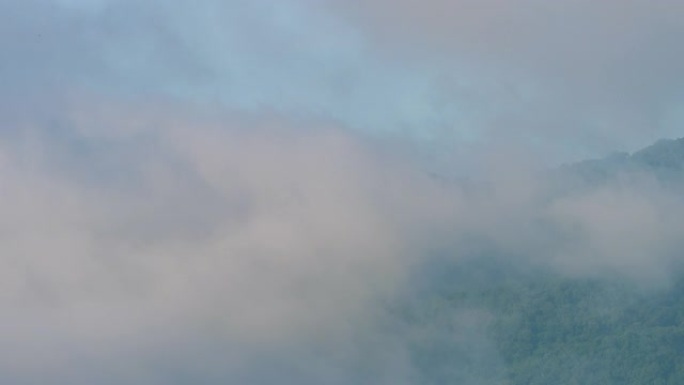 亚洲雾云山林时间流逝的5张照片
