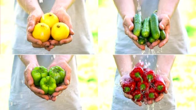 农民收获水果和蔬菜，四个不同视频的拼贴画。慢动作。