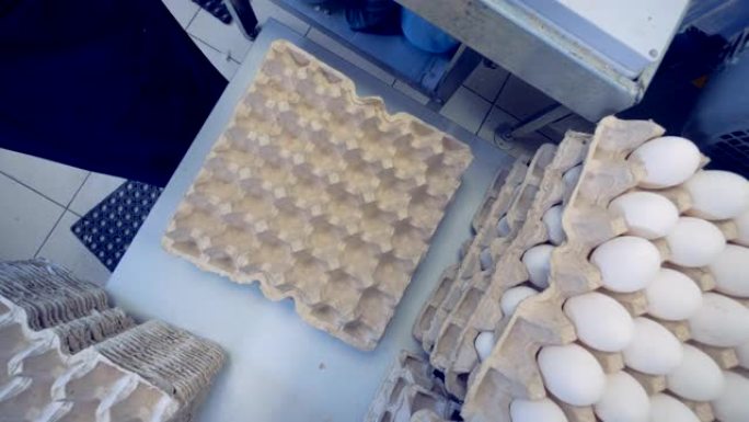 工厂工人将鸡蛋放入纸箱托盘中。家禽场的一箱新鲜鸡蛋。