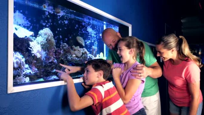水族馆的家人在观察盐水鱼缸