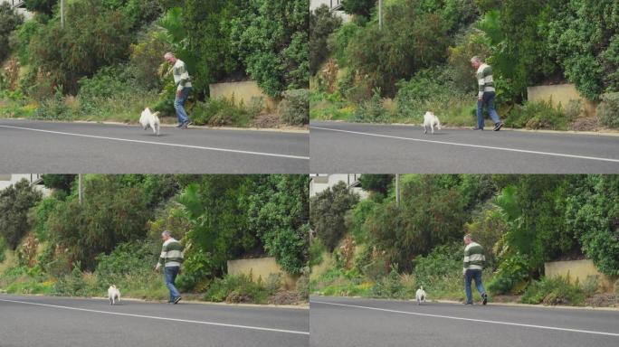 老人带着他的狗在街上散步