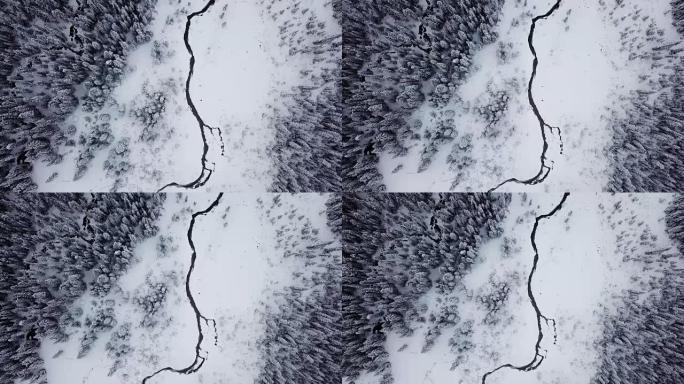 冬季白雪皑皑的森林河流和土地的空中拍摄