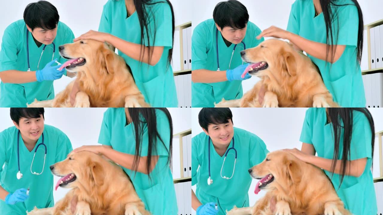 亚洲职业男女兽医检查狗并抚摸狗。在兽医诊所。兽医，关系，人，医疗保健和医学，茎中的女人，宠物爱情概念