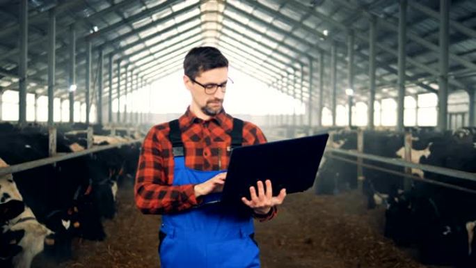 一名男子正带着笔记本电脑沿着牛棚行走