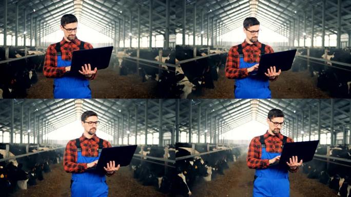 一名男子正带着笔记本电脑沿着牛棚行走