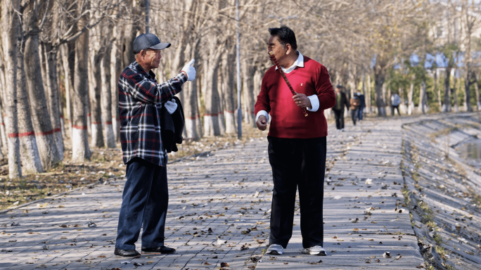 老年生活公园休闲娱乐幸福晚年