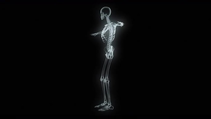 X射线人体扫描模型