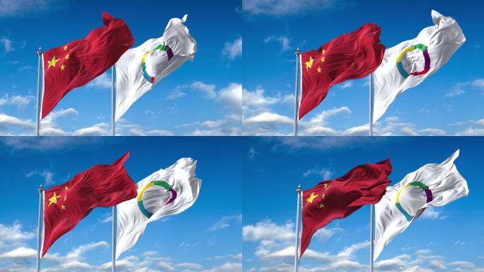 中国-法语国家组织旗帜
