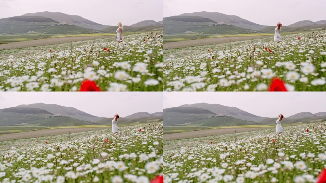 WS无忧无虑的年轻女子在宁静的田园诗般的野花草地上享受微风，翁布里亚，意大利