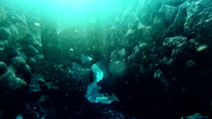 潜入深海。近地表海底、石头