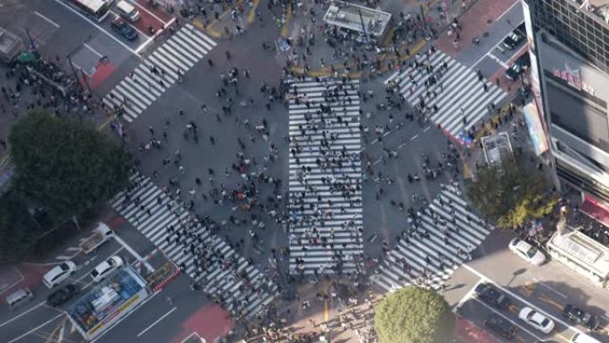 涩谷十字路口很多人