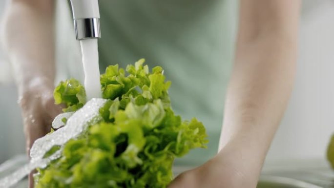洗涤沙拉绿色蔬菜清洗厨房水池