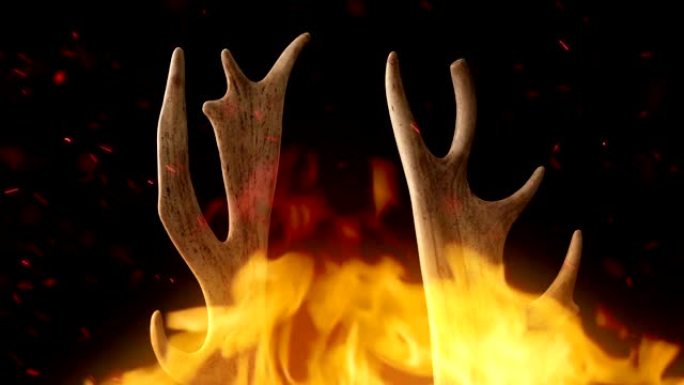 鹿角在火中旋转燃烧火焰猎物鹿角燃烧
