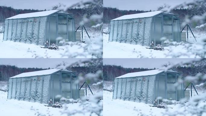 带温室的冬季花园冬季景色实拍视频