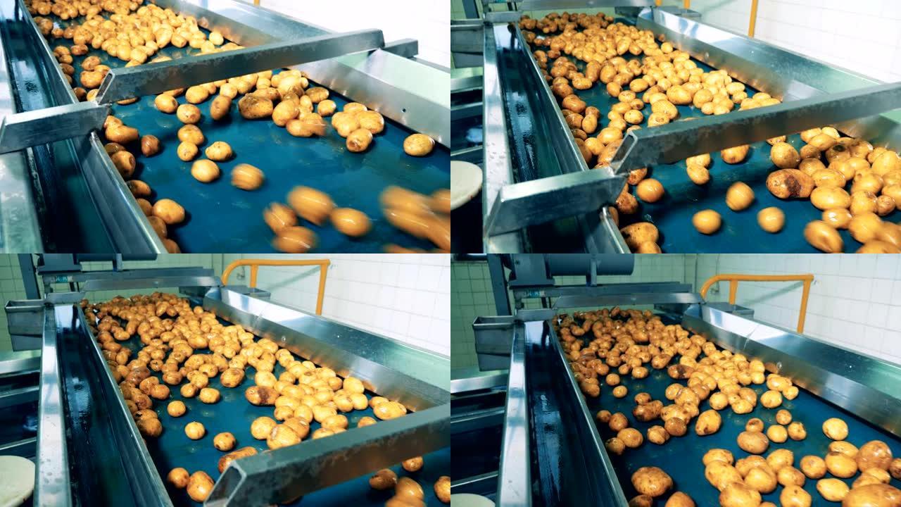 工厂输送机在食品设施中运输洗过的土豆。