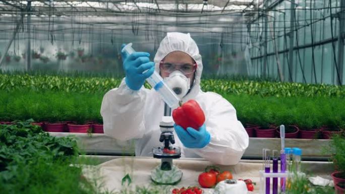 男科学家正在对蔬菜进行化学施肥