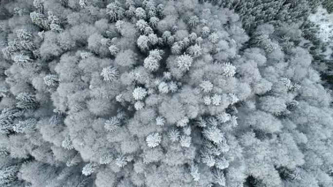 混合积雪树木的自然景观。冬季森林的空中俯视图。UHD